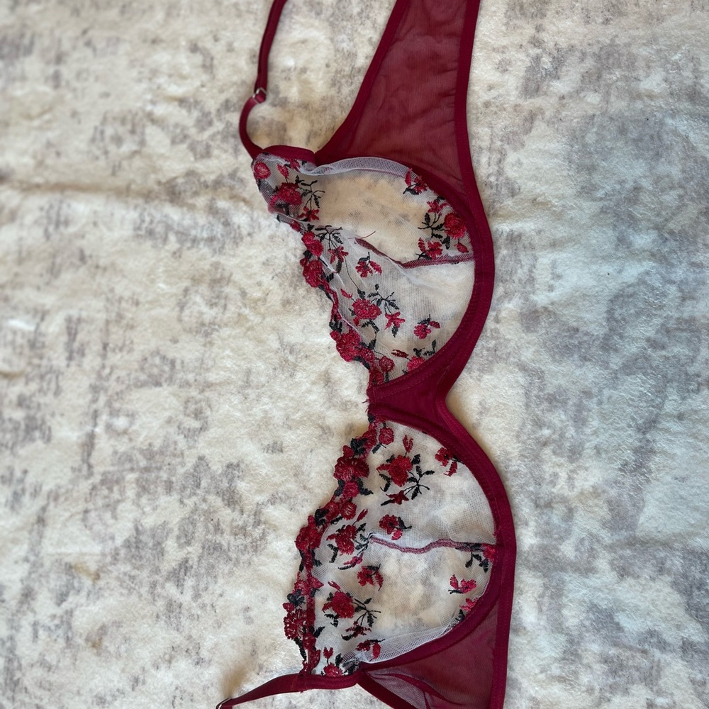Elegant Floral Embroidered Bra - Red